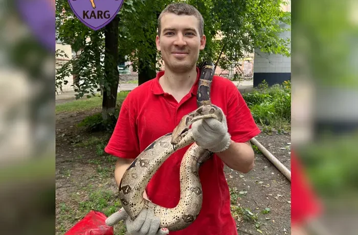 У Києві зоозахисники зняли з дерева екзотичну змію (відео)