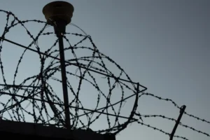 Катування та масові вбивства: ЄС ввів жорсткі санкції проти катів з Оленівки та Таганрога