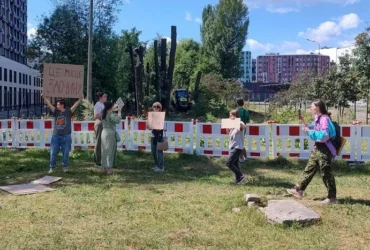 Знищення парку заради тепломагістралі: на Теремках кияни протестують проти вирубки 600 дерев