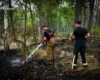 Два тижні боротьби з вогнем: пожежу в Чорнобильській зоні ліквідовано (фото, відео)