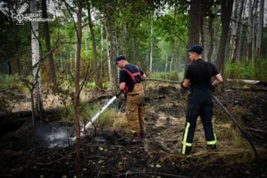 Два тижні боротьби з вогнем: пожежу в Чорнобильській зоні ліквідовано (фото, відео)
