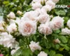 В Україні тепло та без дощів, на Одещині – шторм: погода на 22 липня 2026
