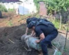 У Запоріжжі 500-кілограмова авіабомба впала біля житлового будинку