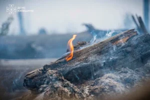У Києві та області оголошено надзвичайну пожежну небезпеку