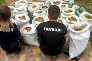 На Рівненщині викрито підпільний бурштиновий цех з заробітком 40 тис. на місяць