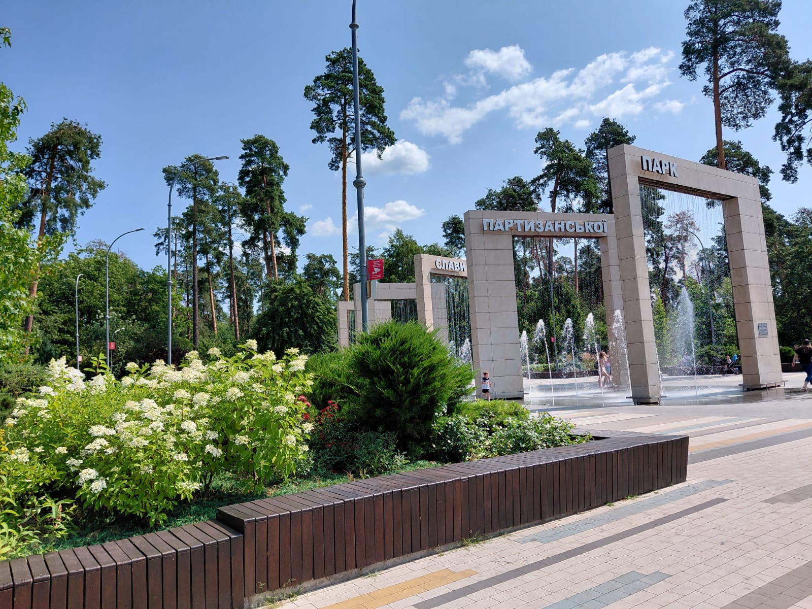 Гортензії у Парку Партизанської слави