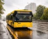 Низка столичних автобусів і один тролейбус 25-26 липня курсуватимуть зі змінами: перелік