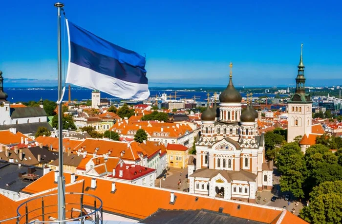 Естонська компанія пояснила рекламу про «підсмажених» росіян