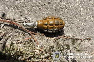 Залишив бойову гранату на вулиці: що поліція знайшла вдома у жителя Київщини (фото)