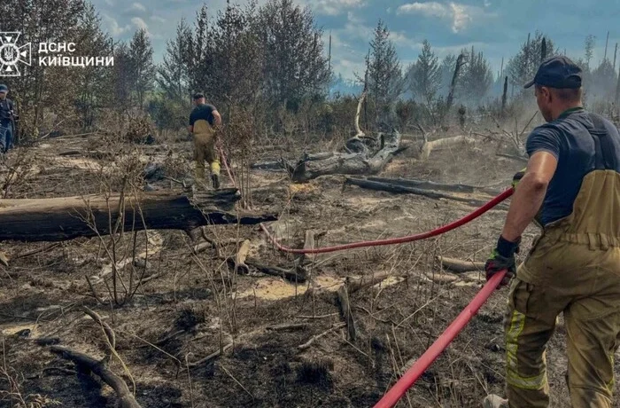 Рятувальники ліквідували масштабну пожежу в Чорнобильській зоні (фото, відео)