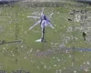 Сили безпілотних систем знищили російський вертоліт Мі-28 (відео)