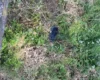 На Київщині загинув 14-річний зачепер: поліція розслідує трагедію