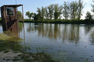 Неконтрольована хвиля затоплює Шебекіно після вибуху на дамбі в РФ