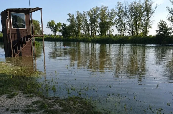 Неконтрольована хвиля затоплює Шебекіно після вибуху на дамбі в РФ