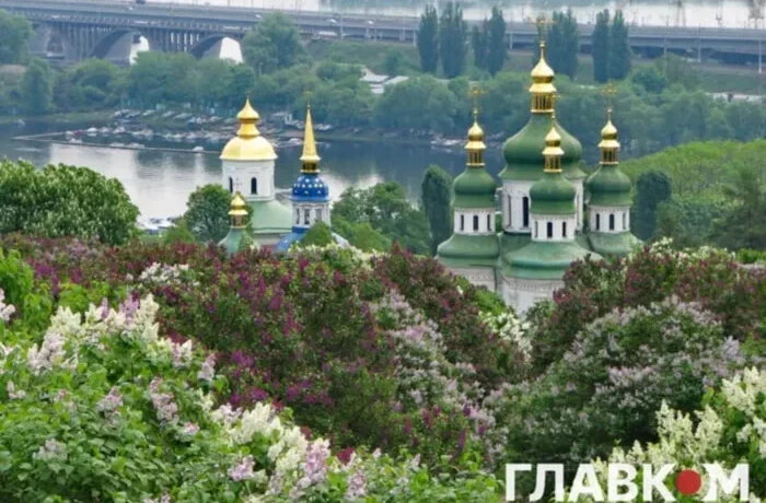 Генпрокуратура підтримала висновки аудиторів щодо ризиків забудови ботсаду Гришка