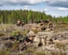 НАТО доручило штучному інтелекту стежити за Росією