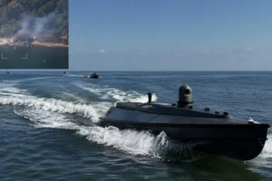 Морпіхи ЗСУ вперше уразили російські цілі біля Залізного Порту (відео)