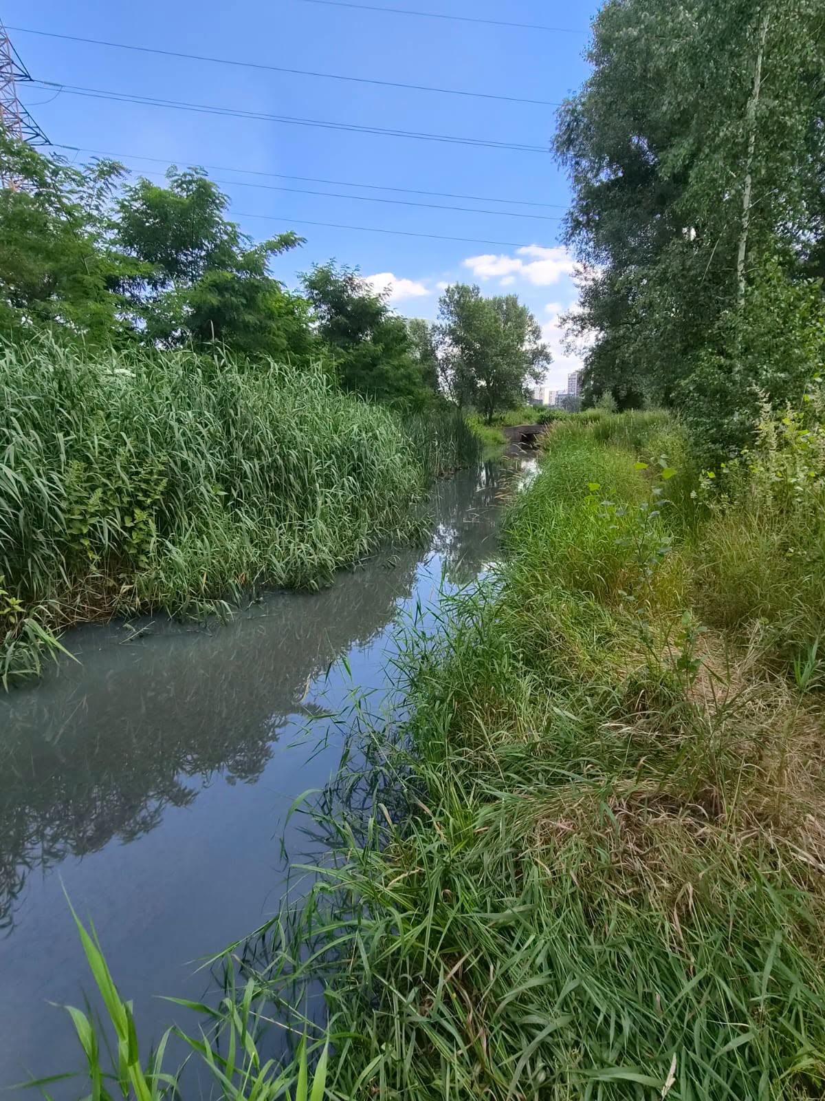 Розтікання паливно-мастильних матеріалів на поверхні водойми на Оболоні