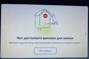 Росіяни масово поскаржилися на проблеми з оформленням закордонних паспортів