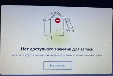 Росіяни масово поскаржилися на проблеми з оформленням закордонних паспортів