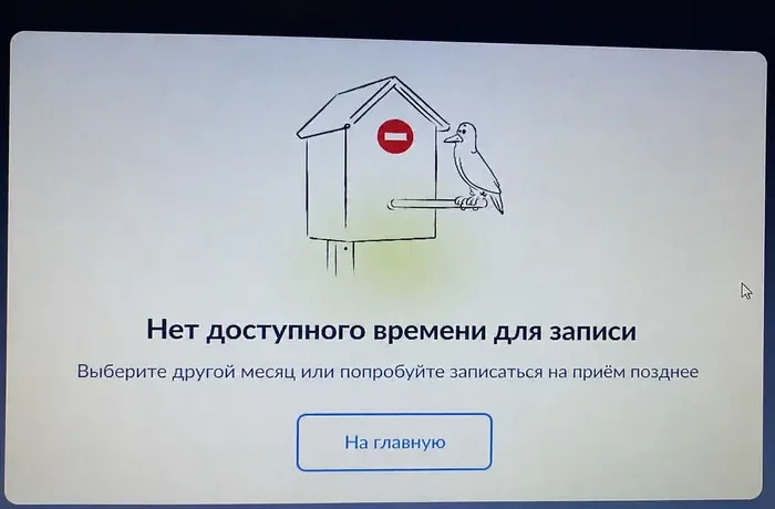 Росіяни масово поскаржилися на проблеми з оформленням закордонних паспортів