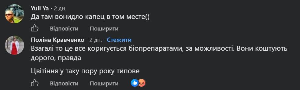 У Києві на Дніпровській набережній зацвіла вода: місцеві скаржаться на сморід (відео) фото 2