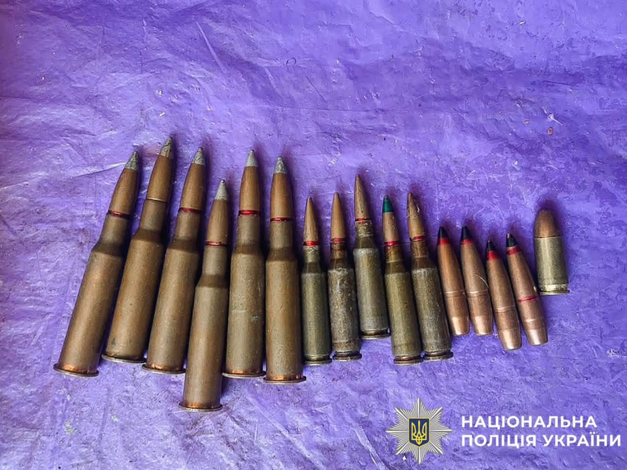 Патрони, вилучені поліцією під час обшуку