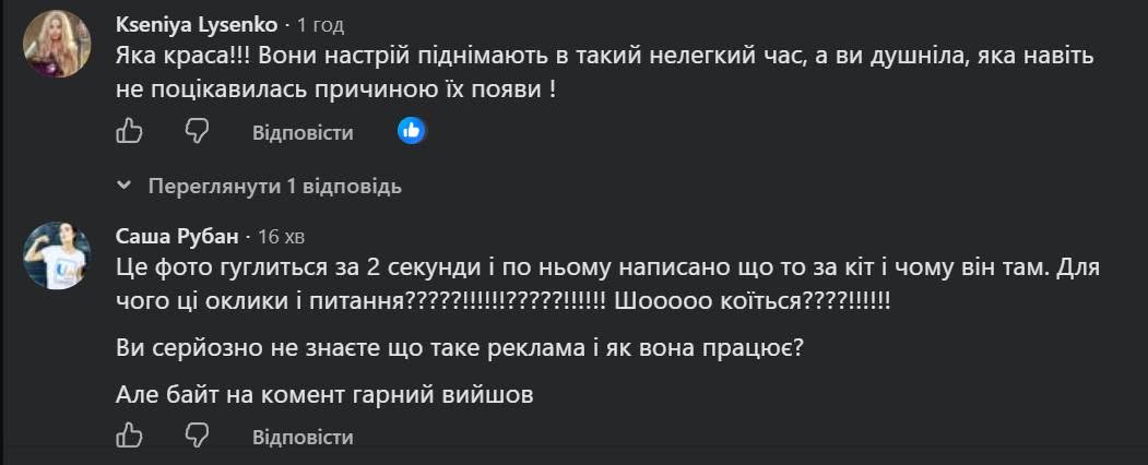 Поява реклами корму для тварин викликала бурхливу дискусію у мережі