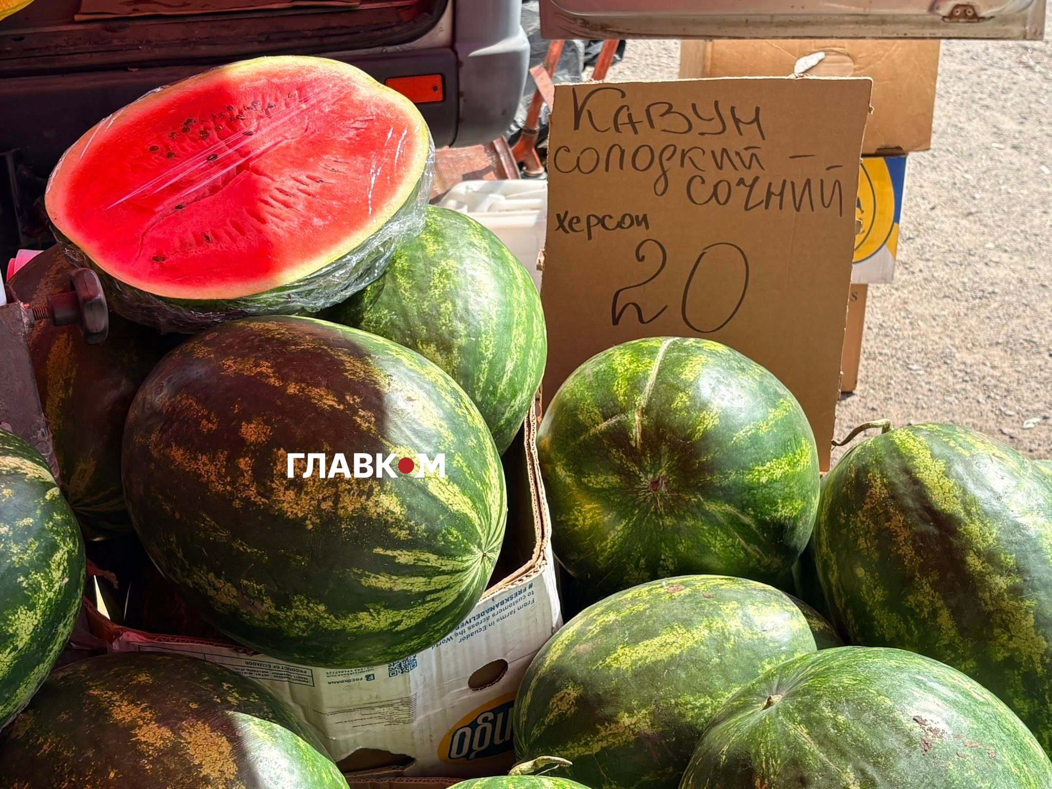 Херсонські кавуни стартують з позначки 20 грн за кіло
