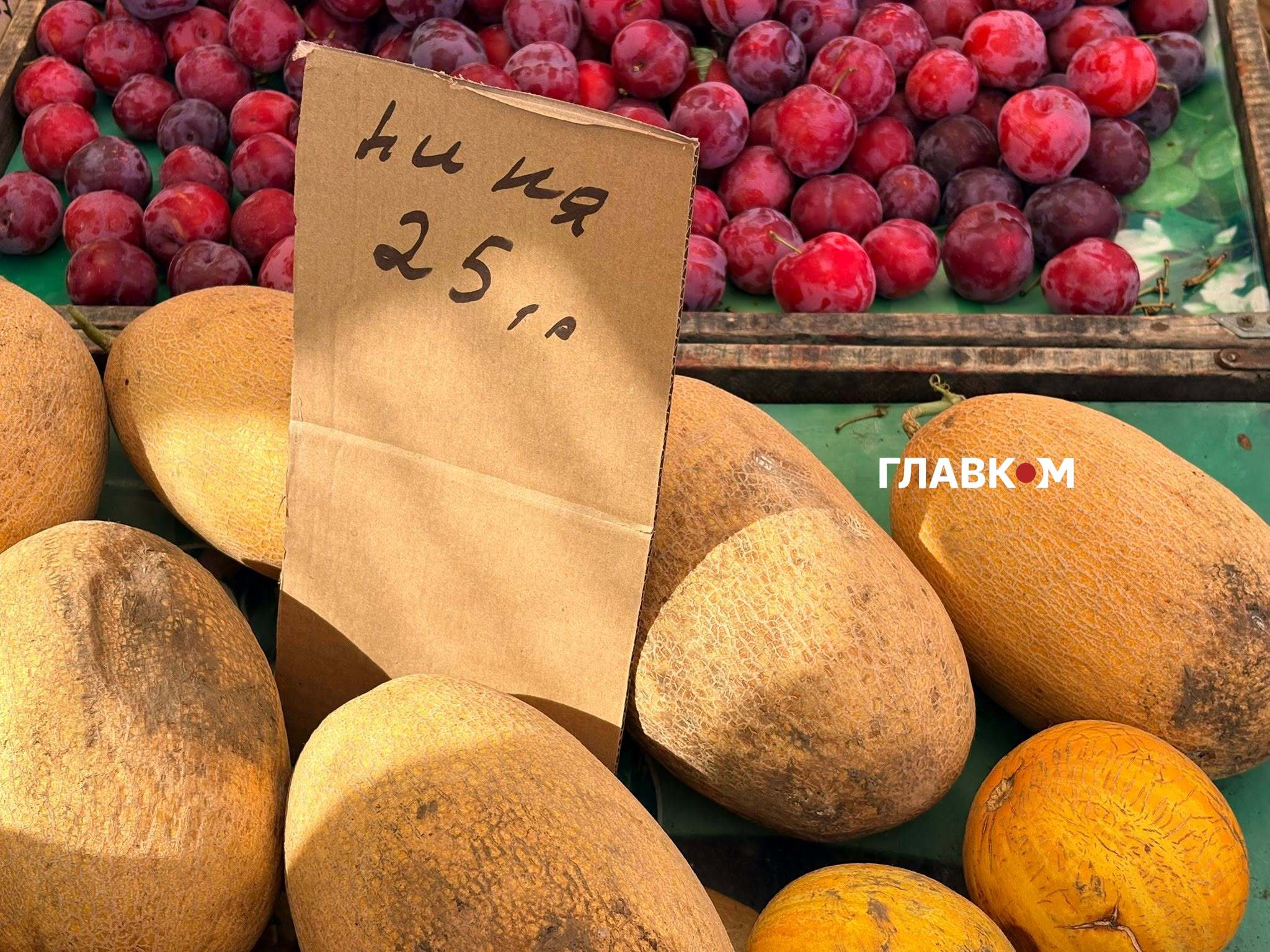 Найдешевші дині на ринку