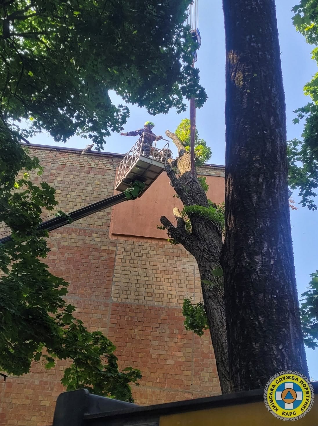 У Києві рятувальники прибрали чотиритонне дерево, що впало на житловий будинок (фото) фото 2