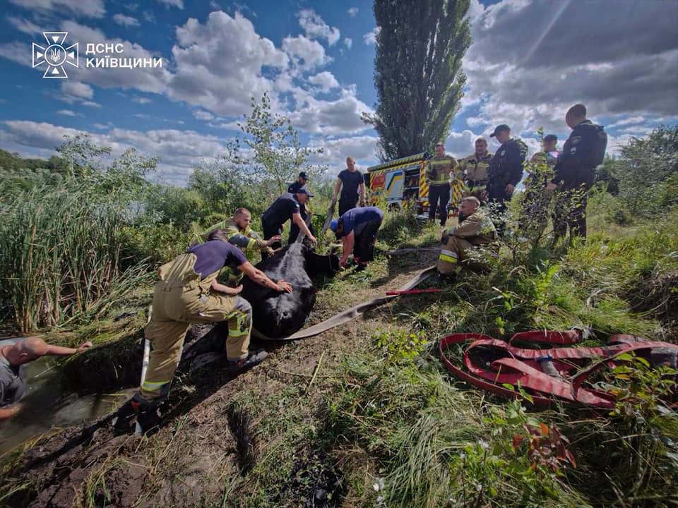 У рятувальній операції брали участь більше 10 чоловіків