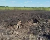 Знайдено вирву від другої ракети KN-23 після удару РФ 30 липня (фото)