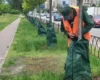 У Києві для поливу дерев встановлено понад 6 тис. спеціальних мішків: як це працює