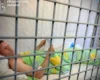 Після удару РФ по виставці зброї під Києвом затримано головного організатора