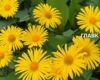 Синоптикиня попередила, коли повернеться спека в Україну