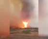 Пожежники показали вогняний смерч у Чорнобильській зоні