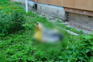 Трагедія у Харкові: трирічна дитина випала з вікна п’ятого поверху