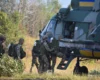 178 боїв за добу: лінія фронту станом на 23 липня 2026