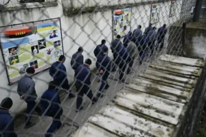 Полонені в Україні африканці назвали єдину причину, чому хочуть до Росії