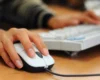 Шахраї розсилають фейкові сертифікати: як не потрапити в пастку