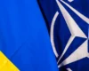 Україна та трубопроводи розсварили союзників по НАТО – Bloomberg