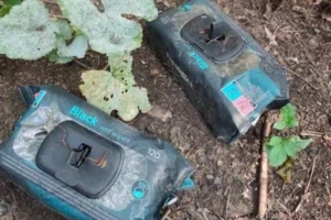 Вибухівка замість серветок. Влада Херсонщини попередила про новий винахід росіян