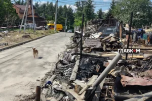 «Вишневого мало, Чернігова мало – на тобі ще третій раз!» Як Капітанівка оговтується після удару по виставці зброї
