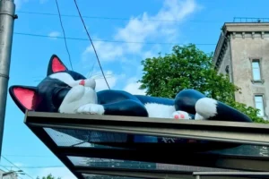 Коти на дахах зупинок у Києві: влада пояснила, звідки гроші на гігантські 3D-фігури