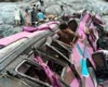 В Пакистані через безглузду сварку в автобусі загинуло 40 людей