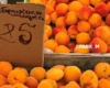 Де у Києві проходитимуть продуктові ярмарки 4-9 серпня (адреси)