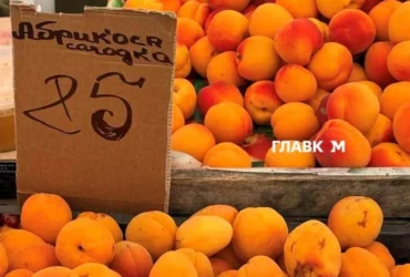Де у Києві проходитимуть продуктові ярмарки 4-9 серпня (адреси)