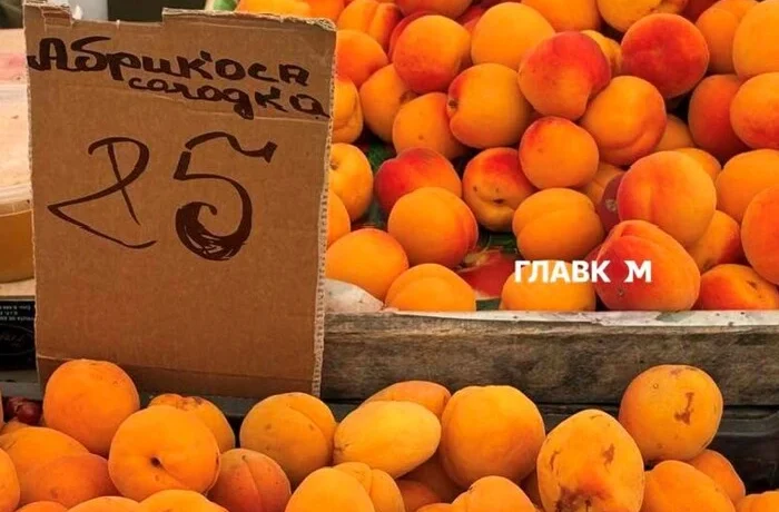 Де у Києві проходитимуть продуктові ярмарки 4-9 серпня (адреси)