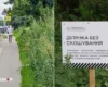Весь Київ у бур’янах. Біолог пояснив, у чому небезпека